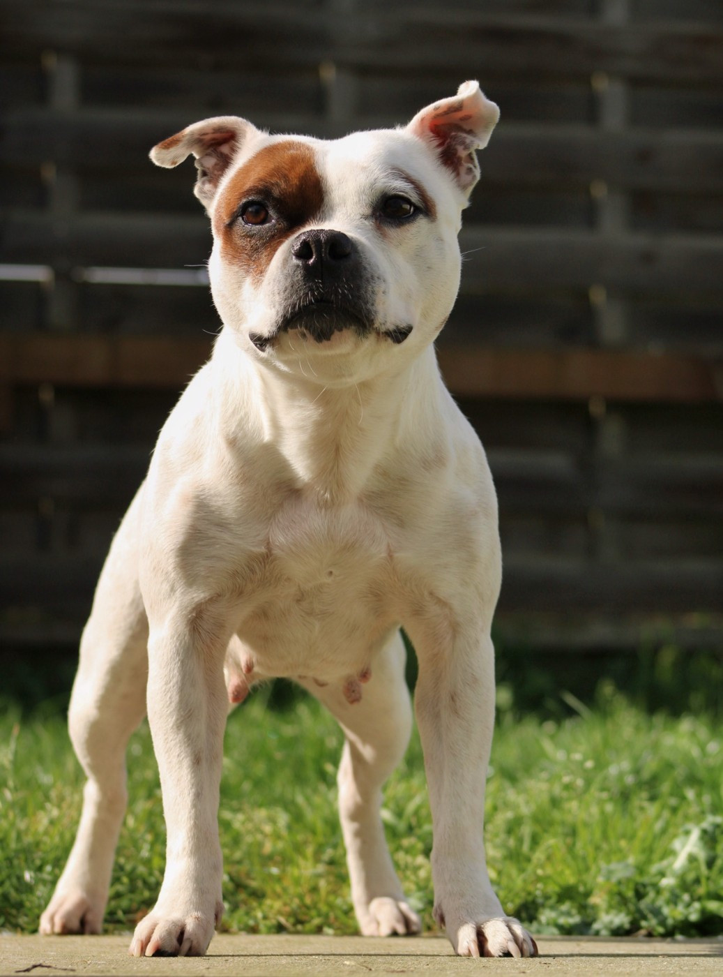 Space jennah de La Vallée Des Sages