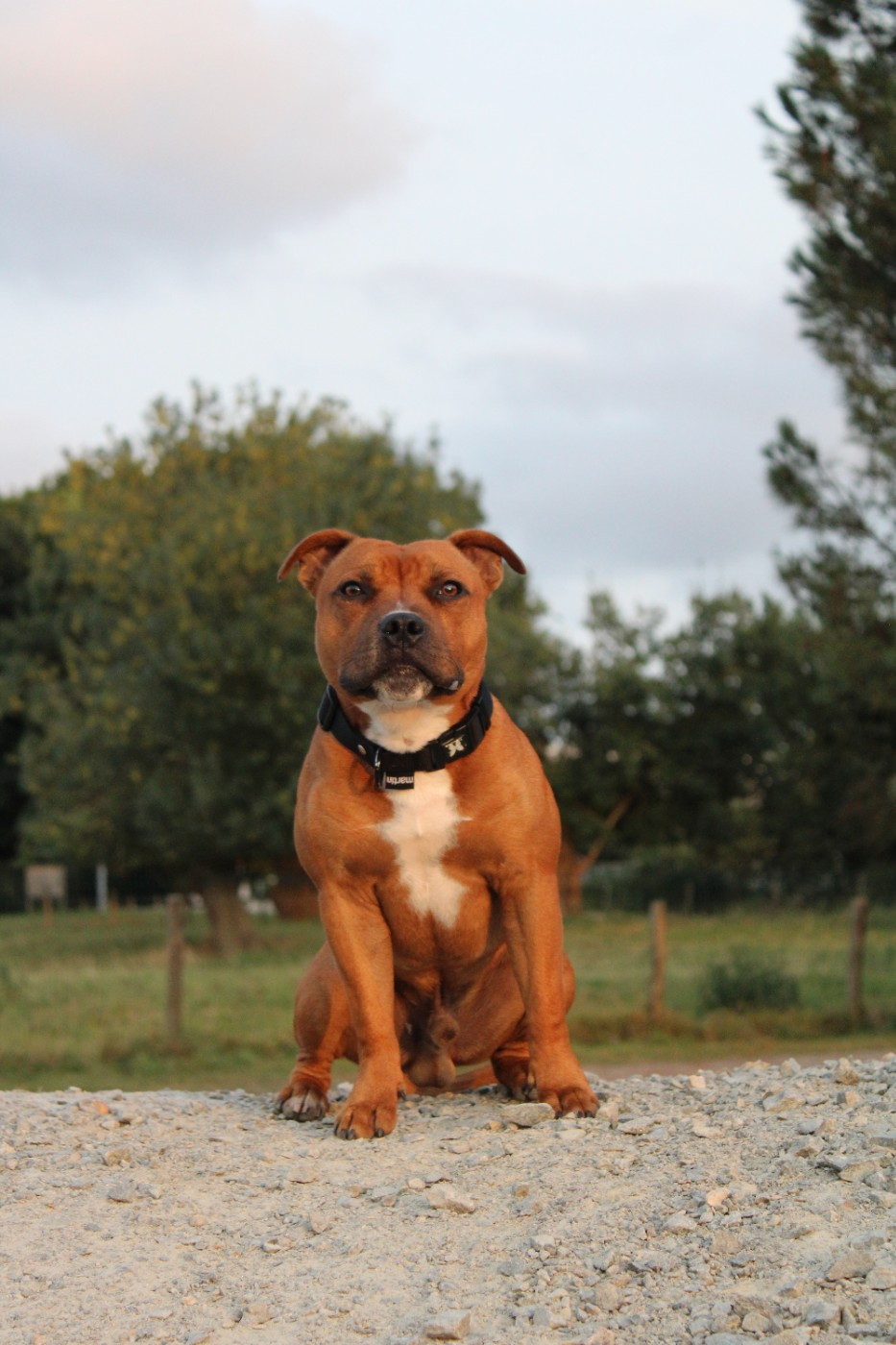 Utopia dit Balto de Select Of Dream