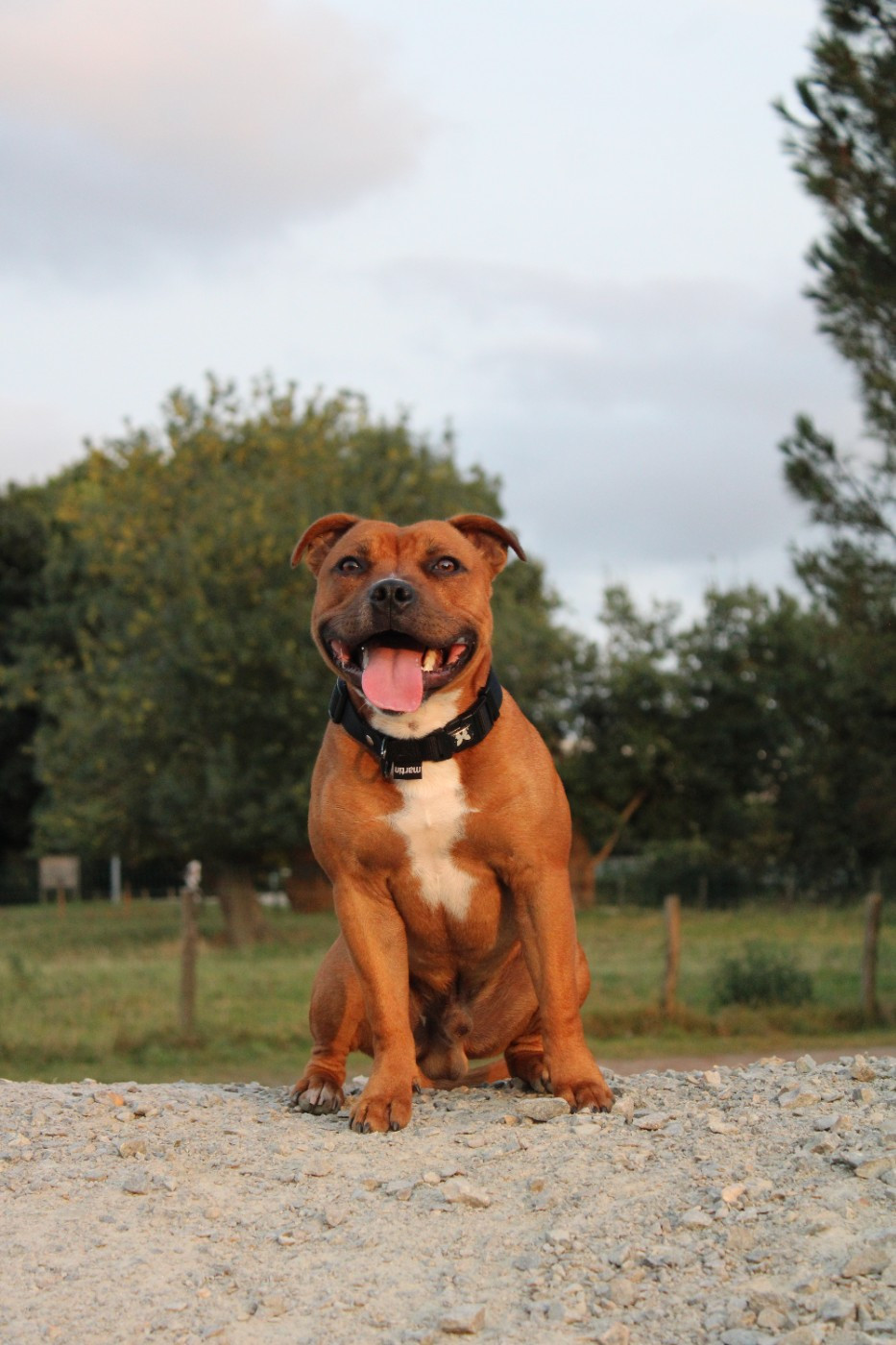 Formulaire de contacte